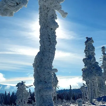 Azzurro - Old Town *