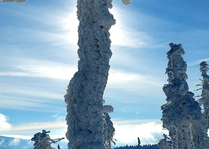 Azzurro - Old Town *