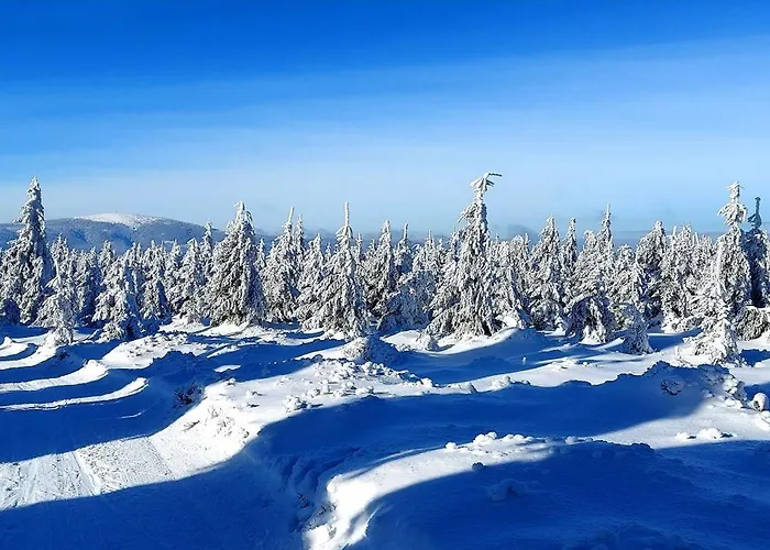 Azzurro - Old Town Klodzko