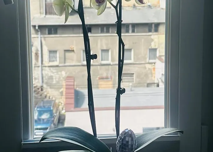 Azzurro - Old Town Apartment *